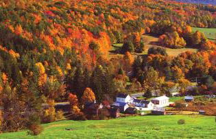 Charming 120-year-old farmhouse by the creek. - Foto 6