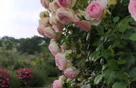 Il Casale di Fiore - Foto 45