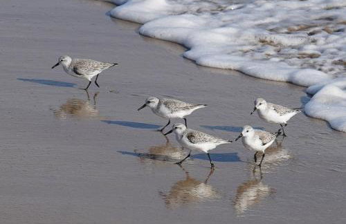 Casa Laura y Sergio - Foto 25