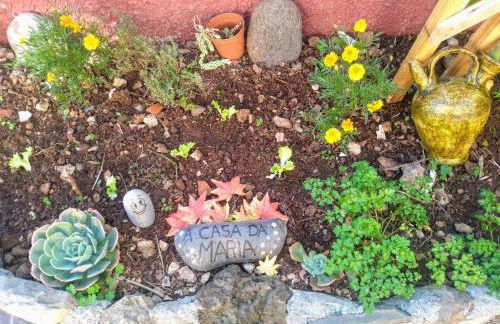 Casa da Maria 15 - Funchal - Famílias - Foto 53