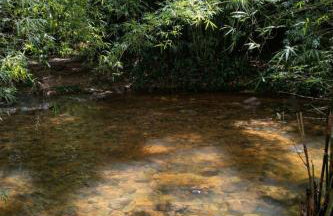 Sítio no Rio de Janeiro, privativo, Natureza, conforto e lazer em Nova Iguaçu, RJ - Foto 46