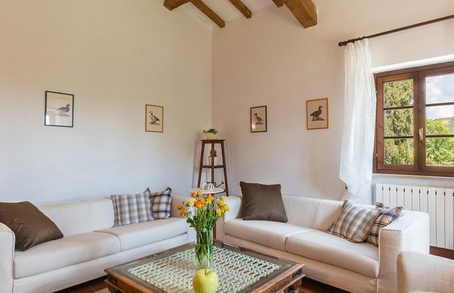 Pi-f458-mvce0at - Podere Calcheto 14 - Foto 30