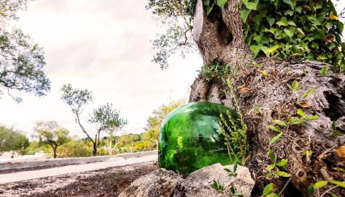 Trulli Nunzia - Foto 3, Garden