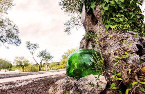 Trulli Nunzia - Foto 3