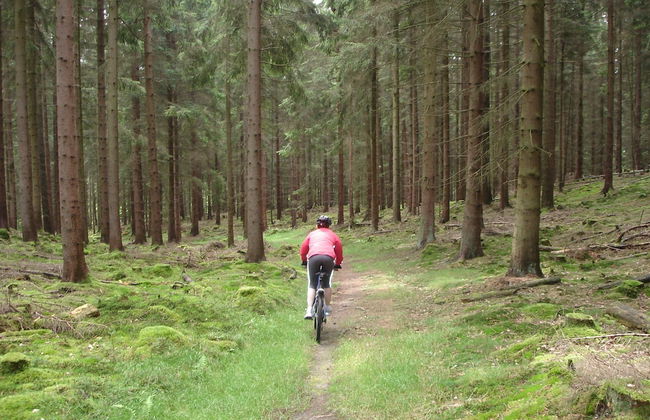 Ferienhaus am Solling - Foto 9