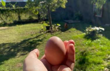 EcoHouse - 12 min to Downtown - Photo 14