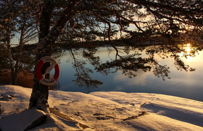 Vaxholm Harbour Bed and Experiences - Photo 20