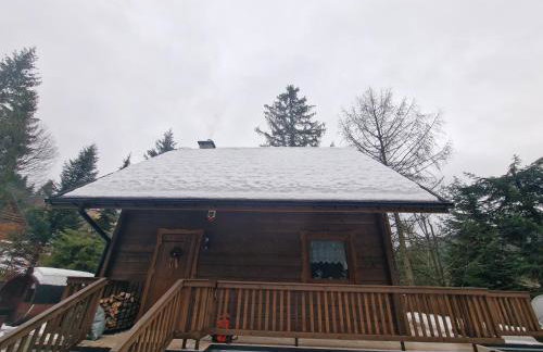 Domki Brenna Leśnica chatka ze spa - Foto 9