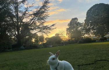 Stadtmitte-Iserlohn - Foto 27