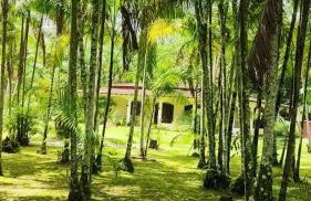 Chácara Bela Vista - Photo 18