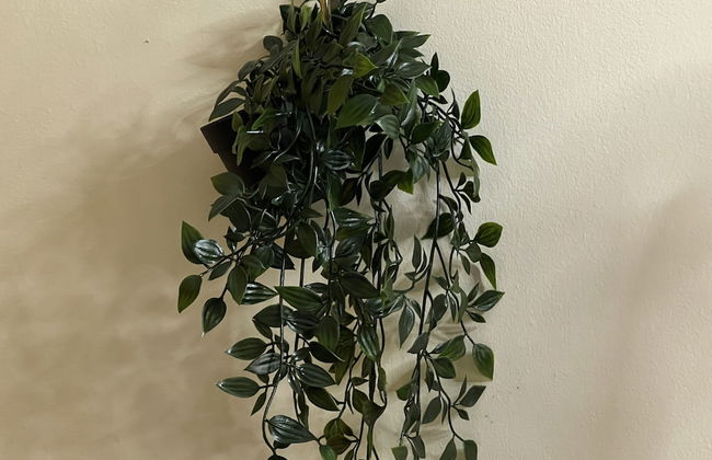 Pied-A-Terre Mont-Royal - Foto 26