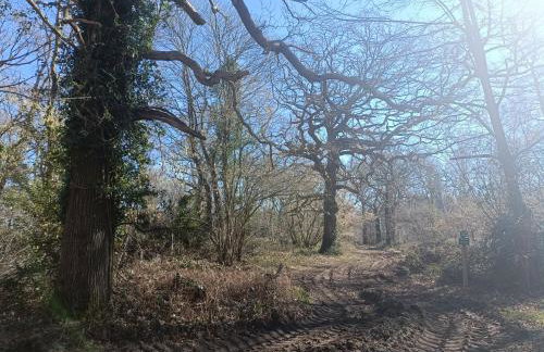 Keepers Retreat - Foto 53