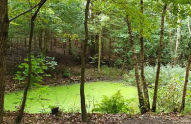 Ihre Auszeit am Golfplatz - Foto 47