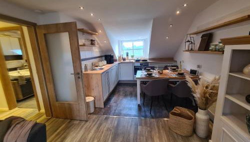 Rosenzauber Gipfelstürmer - Foto 3