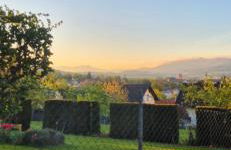 Green Home - Foto 38