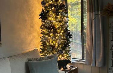 Cozy Cabin Walkable to Beech Mt Resort - Foto 15