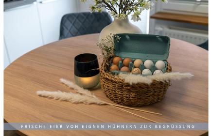 Apartment Leinetal - bester Schlafkomfort in hochwertiger Hotelbettwäsche, 3 Zimmer - große Küche, Duschbad & Parkplatz - Photo 8