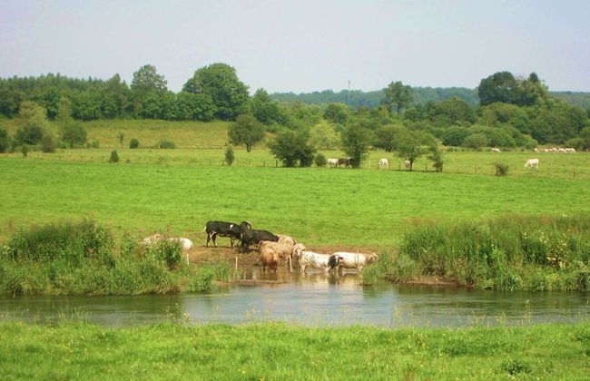 Chic Holiday Home With Garden - Foto 34