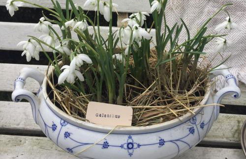 Ferienwohnung Kutscherstube - Foto 10