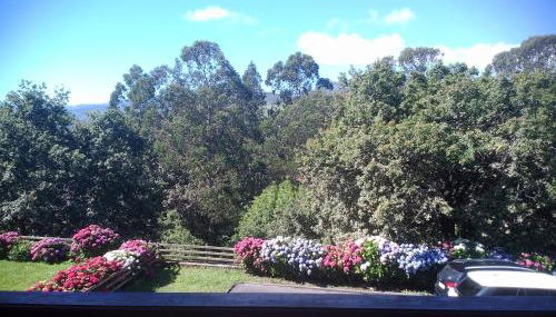 VIVIENDAS DE USO TURÍSTICO La Arboleda I y II - Foto 4
