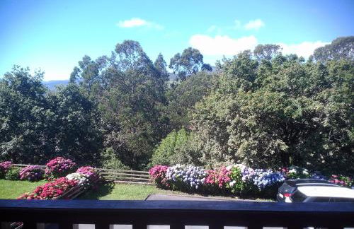 VIVIENDAS DE USO TURÍSTICO La Arboleda I y II - Foto 4