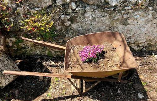 Traditional house with fresh vegetables garden - Foto 36