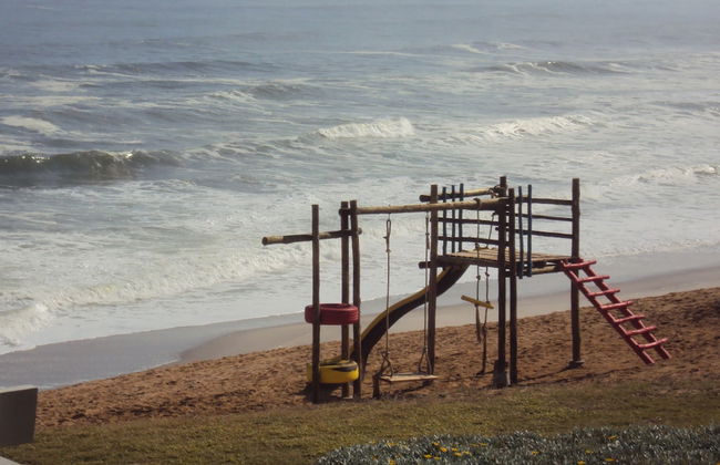 First Group Desert Rose - Photo 38