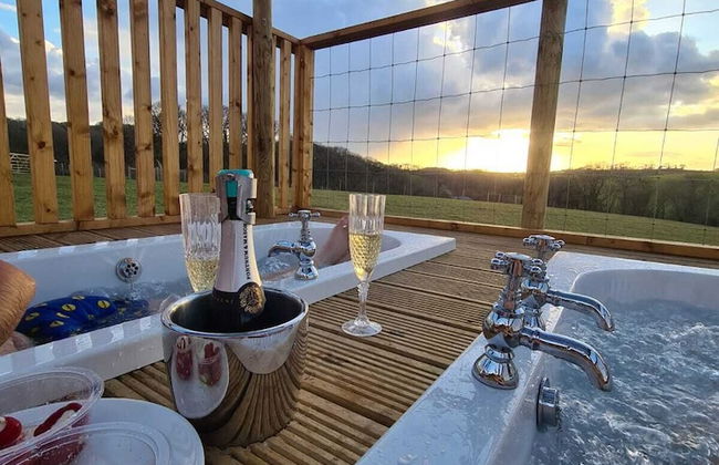 Luxury Safari Lodge Surrounded by Deer!! 'fallow' - Foto 21