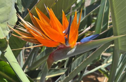 Val del Puerto Patalavaca - Foto 32