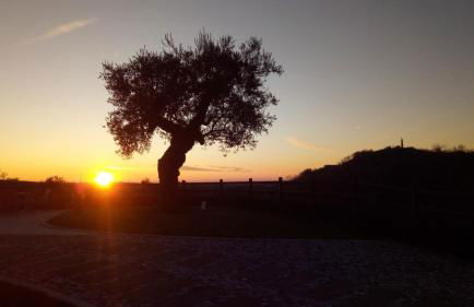 Agriturismo Althea - Foto 33