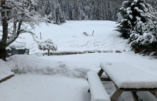 Le grand duc - Foto 13