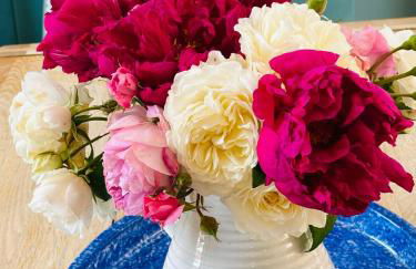 Super Host Large Luxury Cottage South Downs Park - Foto 41