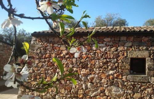 Tenuta Serre - Foto 14