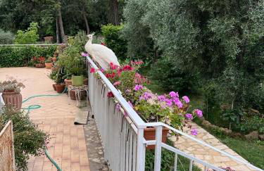 La Casa Dei Fiori - Foto 22