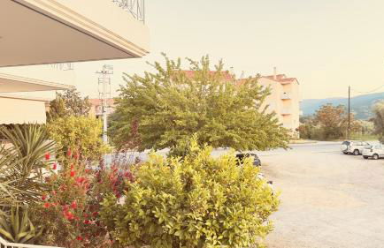 Το Φιλόξενο Σπιτάκι! - The Friendly Nest ! - Foto 38