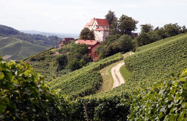 Apartment in Oberkirch - Foto 4