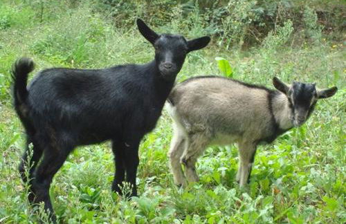 Al Giardino Degli Etruschi - Foto 46
