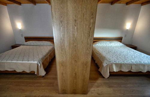 Casa da Caneleira Camélias de Basto - Foto 21