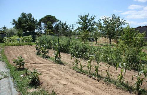 Tuscan Dream Casa Vacanze - Foto 26