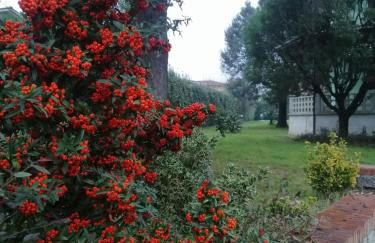 Franco house with pool - Foto 17