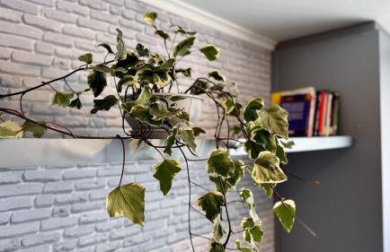 Studio Urban Red - Sudoeste - Foto 15