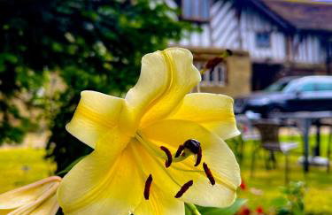 New Hall, Elland - Foto 35