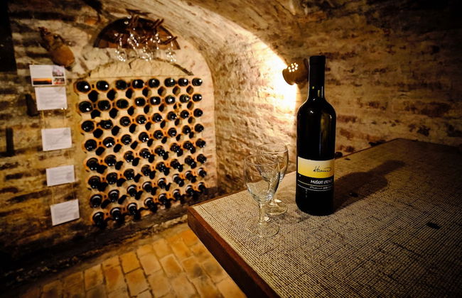 Holiday House Podhamer Marijan - Foto 23