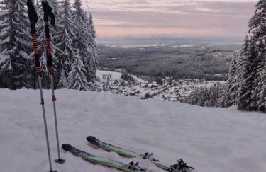 Two apartments in one house - Ferienhaus Matz - Foto 26