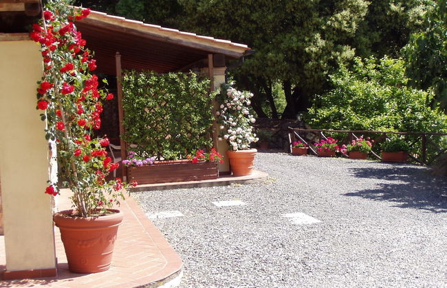 Splendid Relaxing Stay in the Tuscan Countryside - Foto 19