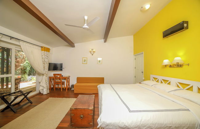 Rayne Forest - Foto 3