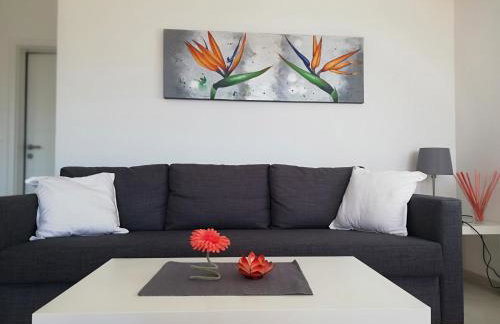 Apartments Oleander Lovrečica-residence with pool - Photo 16