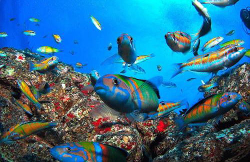 Costa Golf Beach - Photo 12