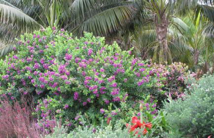 Haciendas del Valle - Las Kentias - Foto 69