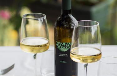 Fattorie di Montechiaro - Foto 11